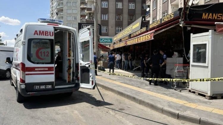 Diyarbakır'da arazi kavgasında 2 kuzenini öldüren kişi tutuklandı