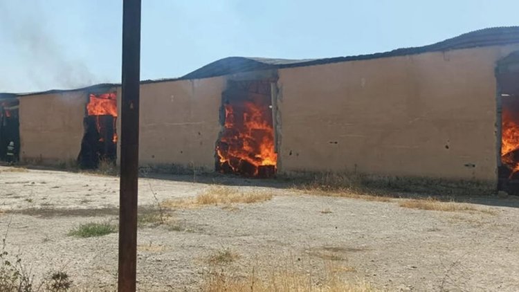Diyarbakır'da yangın: 1000 ton pamuk kül oldu