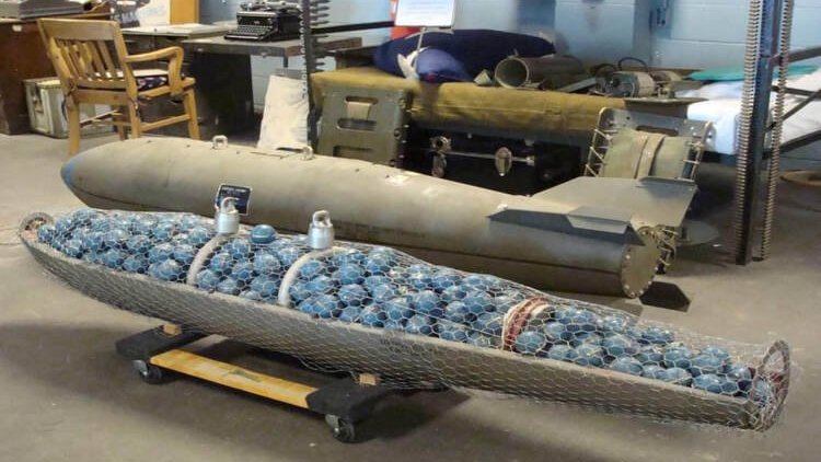 Ukrayna: ABD'den misket bombaları aldık