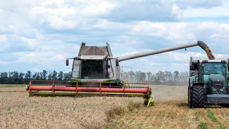 Rusya: Afrika ülkelerine tahıl tedariki için yeni rotalar üstünde çalışıyoruz