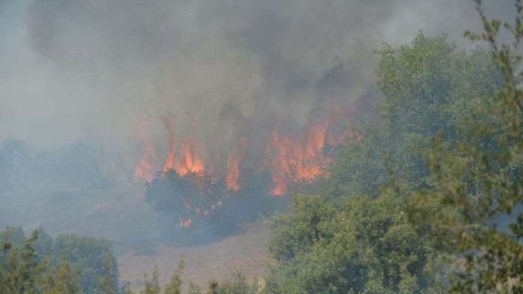 Maraş'ta iki farklı noktada orman yangını