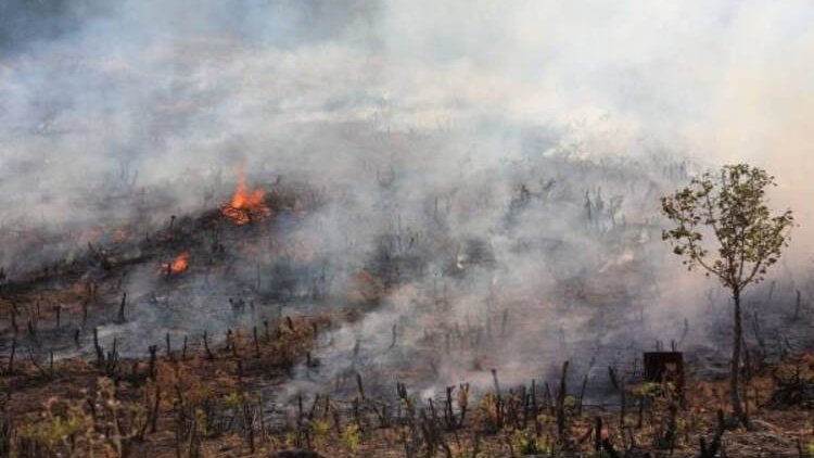 Operasyonlar nedeniyle Amedi ormanları bir haftadır yanıyor