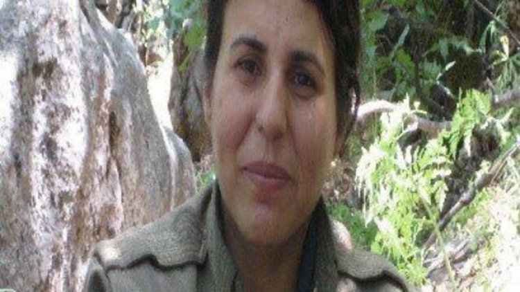 Bitlis'te çatışma: Bir PKK'li yaşamını yitirdi