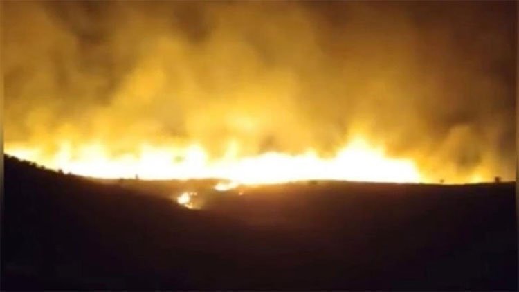 Urfa-Diyarbakır sınırlarındaki ormanda yangın