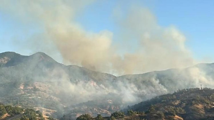 Bingöl’deki orman yangını altı bölgeye sıçradı