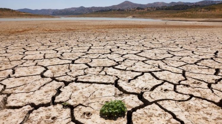 İklim değişikliği: Süleymaniye’de yer altı suları azalıyor