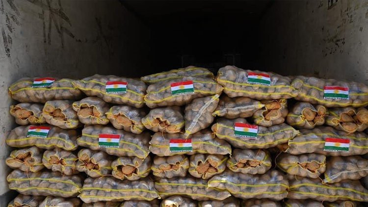 Kürdistan Bölgesi’nden BAE’ye bin ton patates ihraç edildi