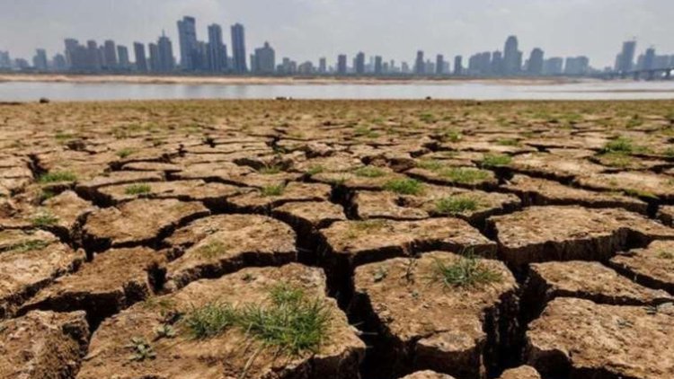BM Genel Sekreteri'nden uyarı: 'İklim yıkımı başladı'