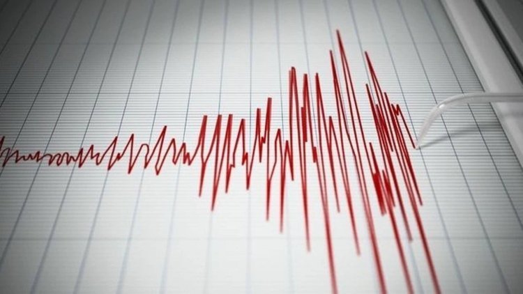 Bitlis ve Adana'da deprem