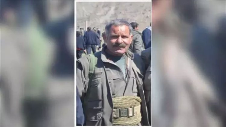 AA, üst düzey PKK yetkilisinin hayatını kaybettiğini duyurdu