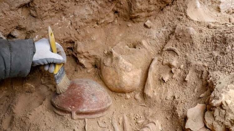 Van: 3 bin yıllık iskeletlerde beyin ameliyatı izleri tespit edildi