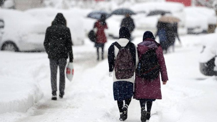 Eğitime kar engeli: Bitlis ve Van'da okullar tatil