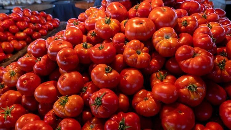 Kürdistan Bölgesi'ne domates ithalatı yasaklandı