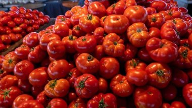 Kürdistan Bölgesi'ne domates ithalatı yasaklandı