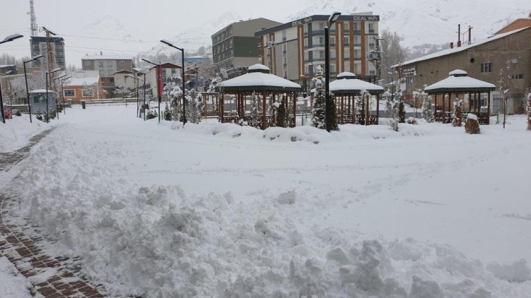 Van'da kar yağışı: 257 yerleşim yeri ulaşıma kapandı, okullar tatil edildi