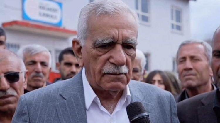 Ahmet Türk: 'Bu dönem kayyum atamayabilirler'