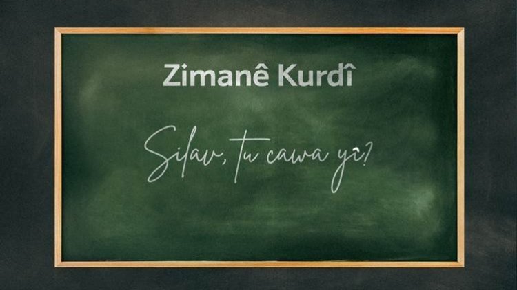 Diasporadaki Kürtler için online Kürtçe kursları açıldı